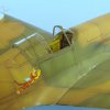 Curtiss Tomahawk Mk II