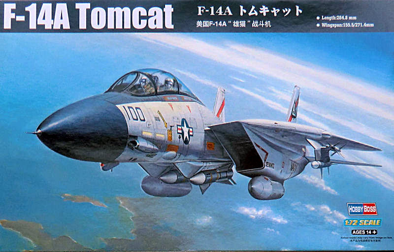 f14-tomcat_05.jpg